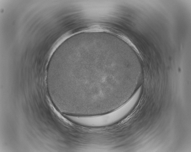 X0000059241484200510171418