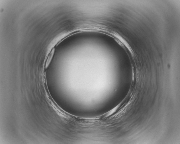 X0000059241485200510171418