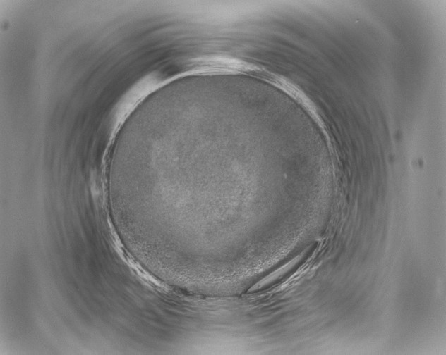 X0000059241488200510171418