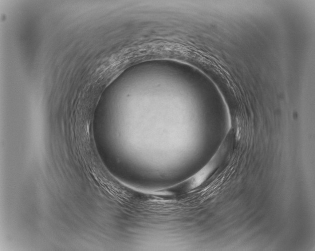 X0000059241489200510171417