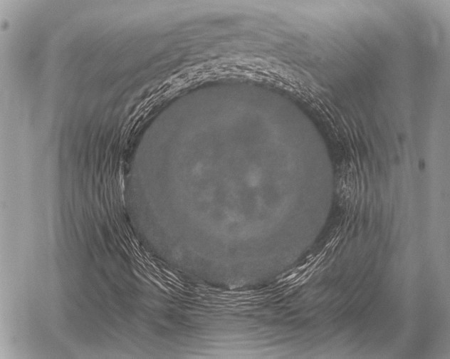 X0000059241490200510171417