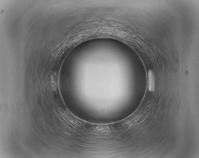 X0000059241491200510171417