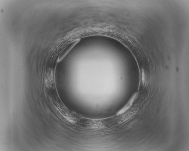 X0000059241492200510171417