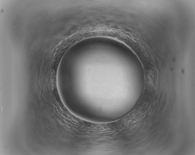 X0000059241493200510171417