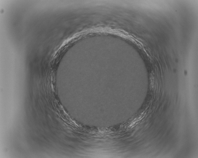 X0000059241494200510171417