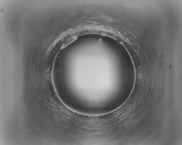 X0000059241495200510171417