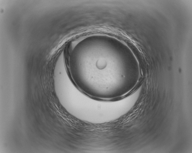 X0000059241496200510171417