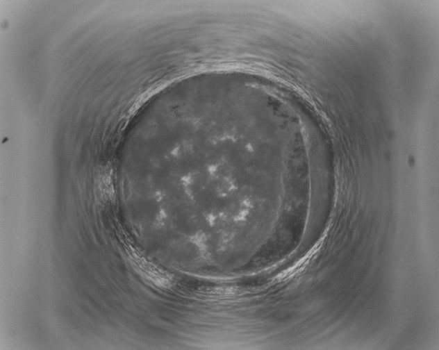 X0000059241497200510171417