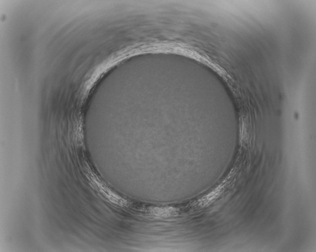 X0000059241498200510171417