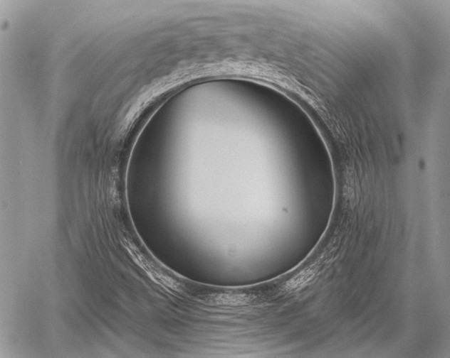 X0000059241499200510171417