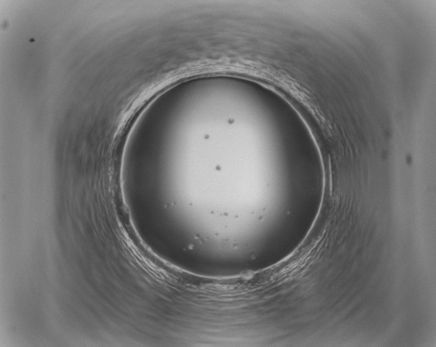 X0000059241500200510171417