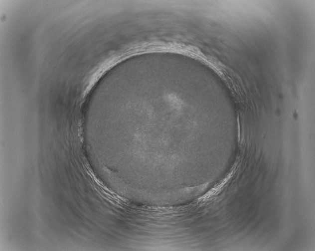 X0000059241501200510171417