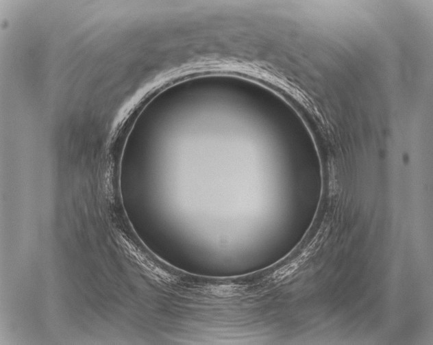 X0000059241502200510171417