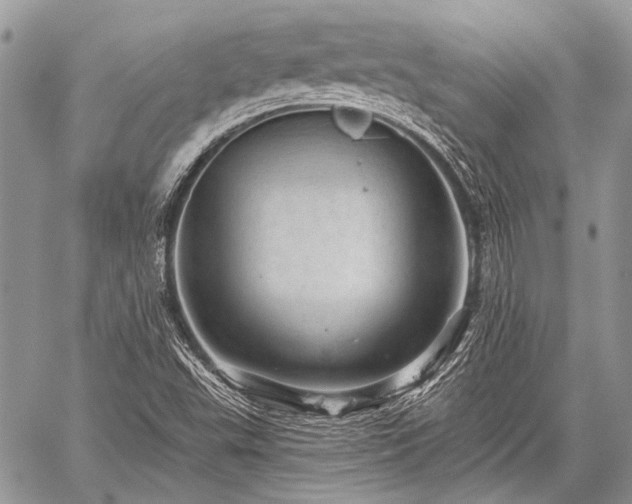 X0000059241503200510171417