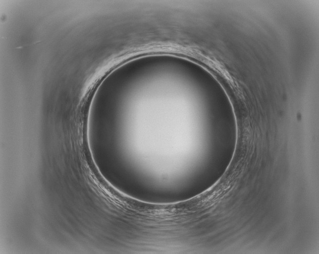 X0000059241504200510171417