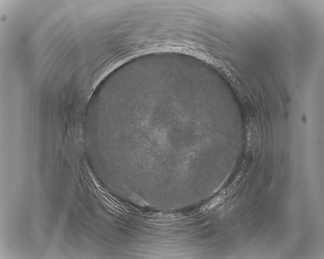 X0000059241505200510171417