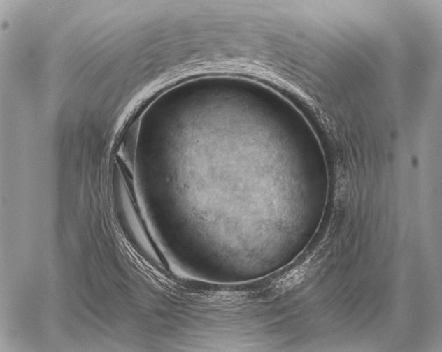 X0000059241506200510171417