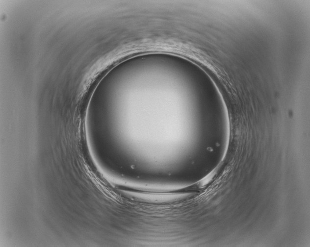 X0000059241507200510171417