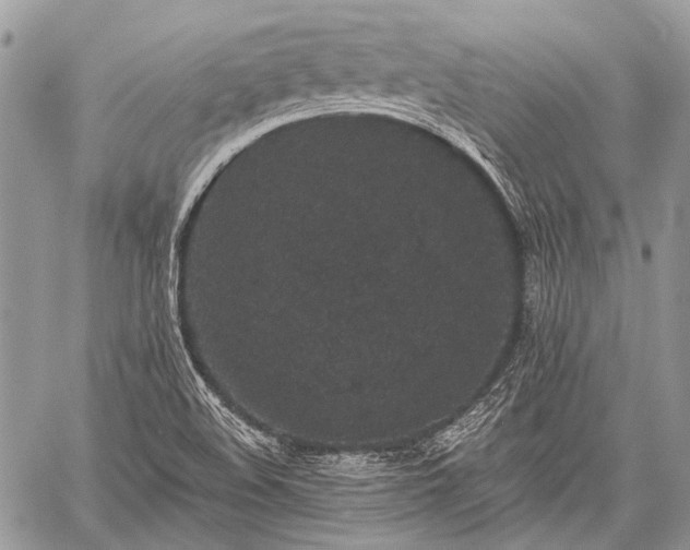 X0000059241508200510171417