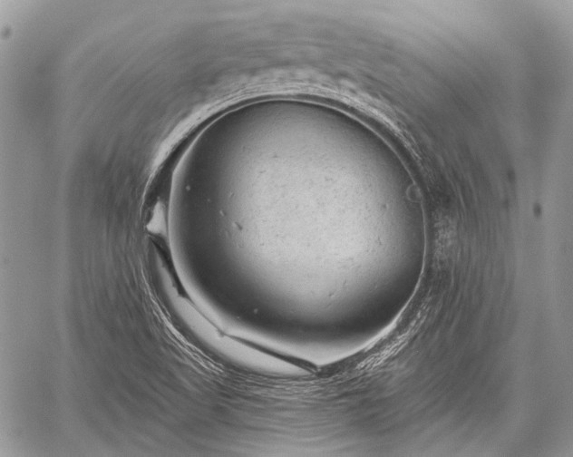 X0000059241509200510171417