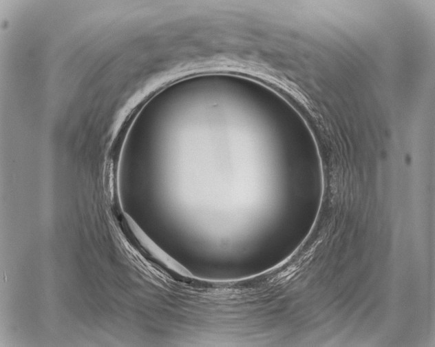 X0000059241510200510171417