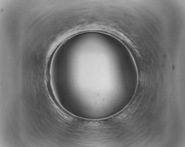 X0000059241512200510171418