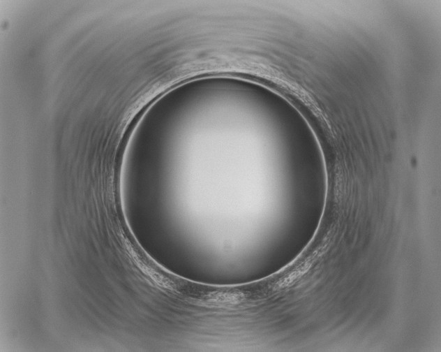 X0000059241513200510171418