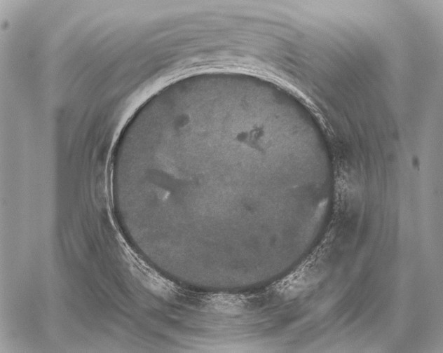 X0000059241514200510171418