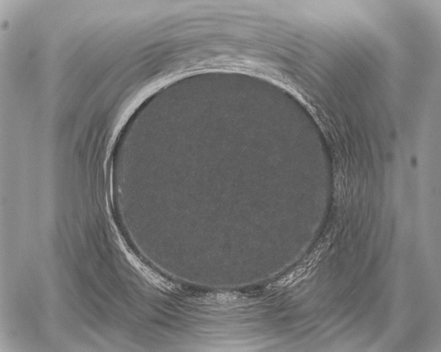 X0000059241515200510171418