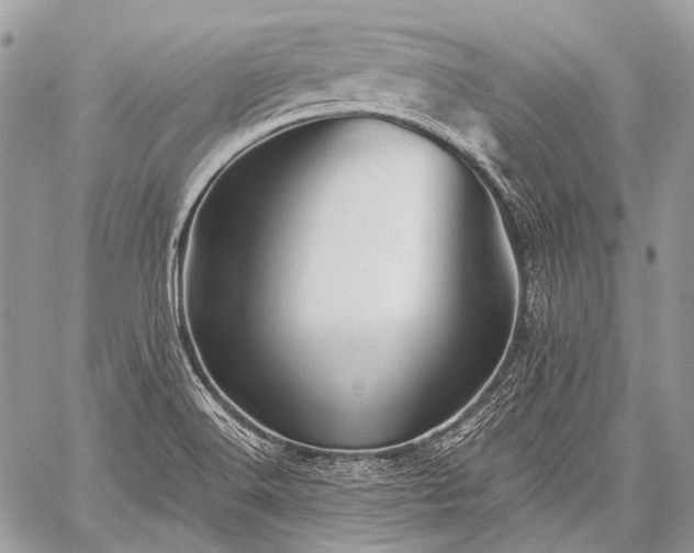 X0000059241516200510171418