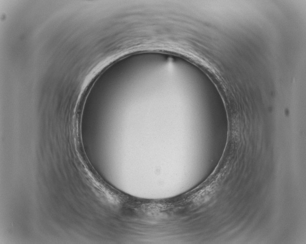 X0000059241517200510171418