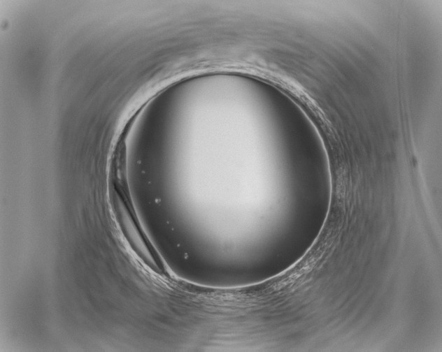 X0000059241520200510171418