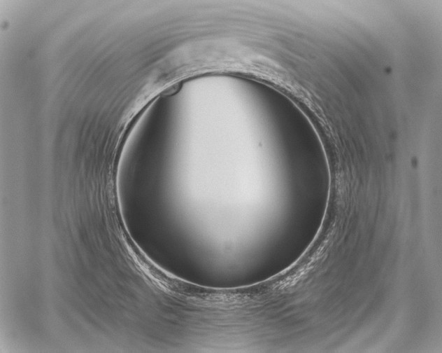 X0000059241521200510171418