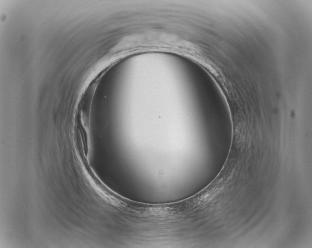 X0000059241523200510171418