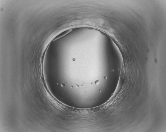 X0000059241524200510171418