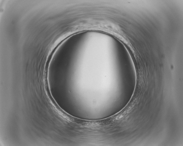 X0000059241525200510171418