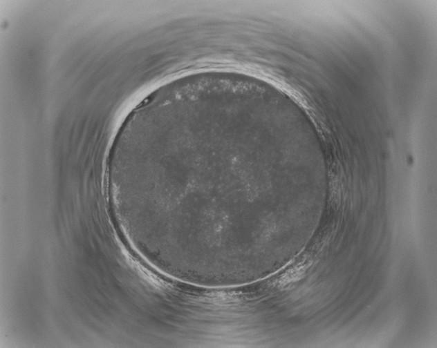 X0000059241527200510171418