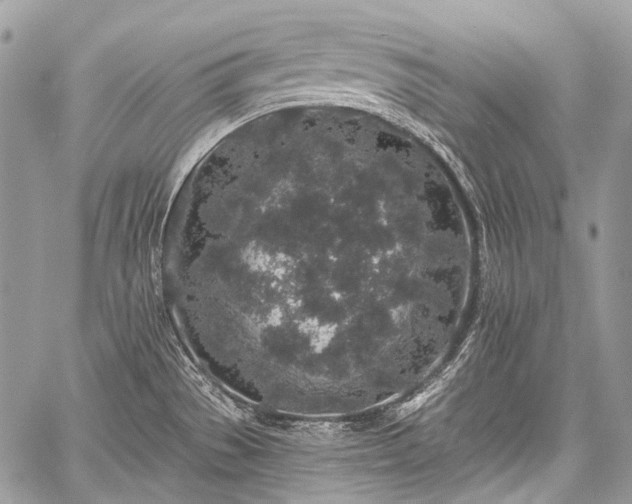 X0000059241529200510171418