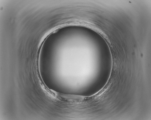 X0000059241530200510171418