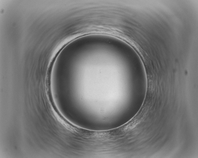 X0000059241531200510171418