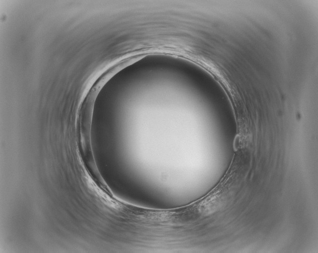 X0000059241532200510171418