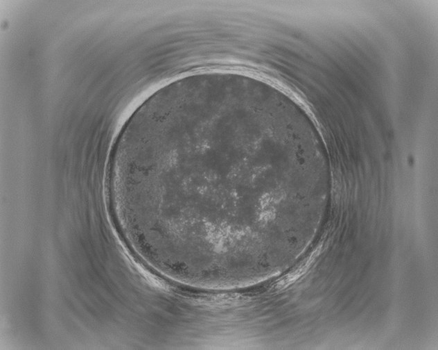 X0000059241533200510171418