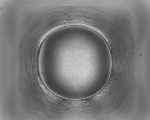 X0000059241534200510171418