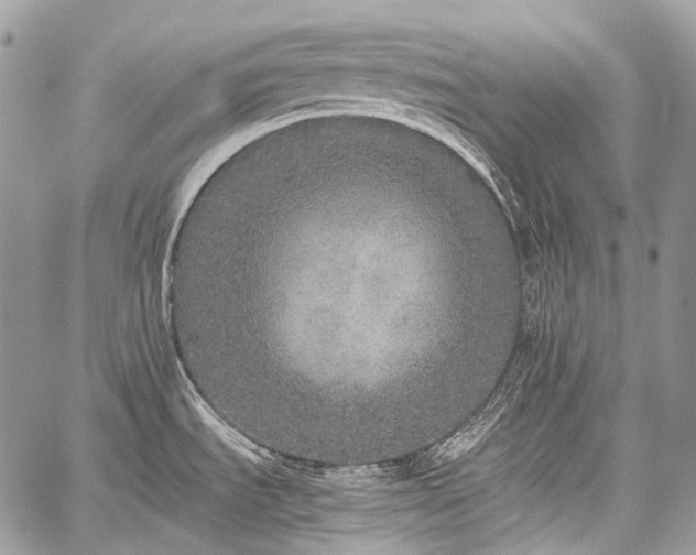 X0000059241535200510171418