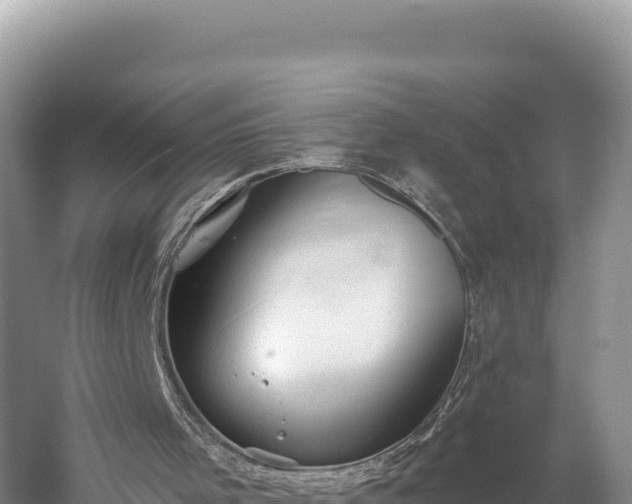 X0000059240001200510211615