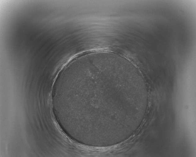 X0000059240002200510211615