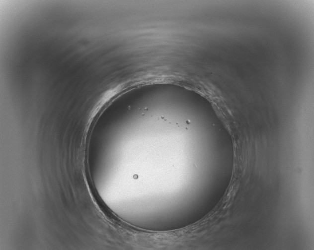 X0000059240003200510211615