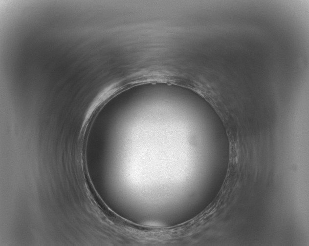 X0000059240004200510211615