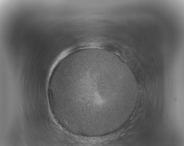 X0000059240006200510211615