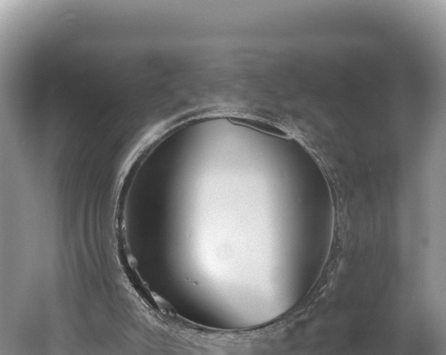 X0000059240007200510211615